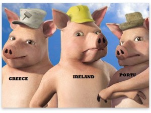pig