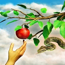 Fondi con cedola: la grande illusione del guadagno facile