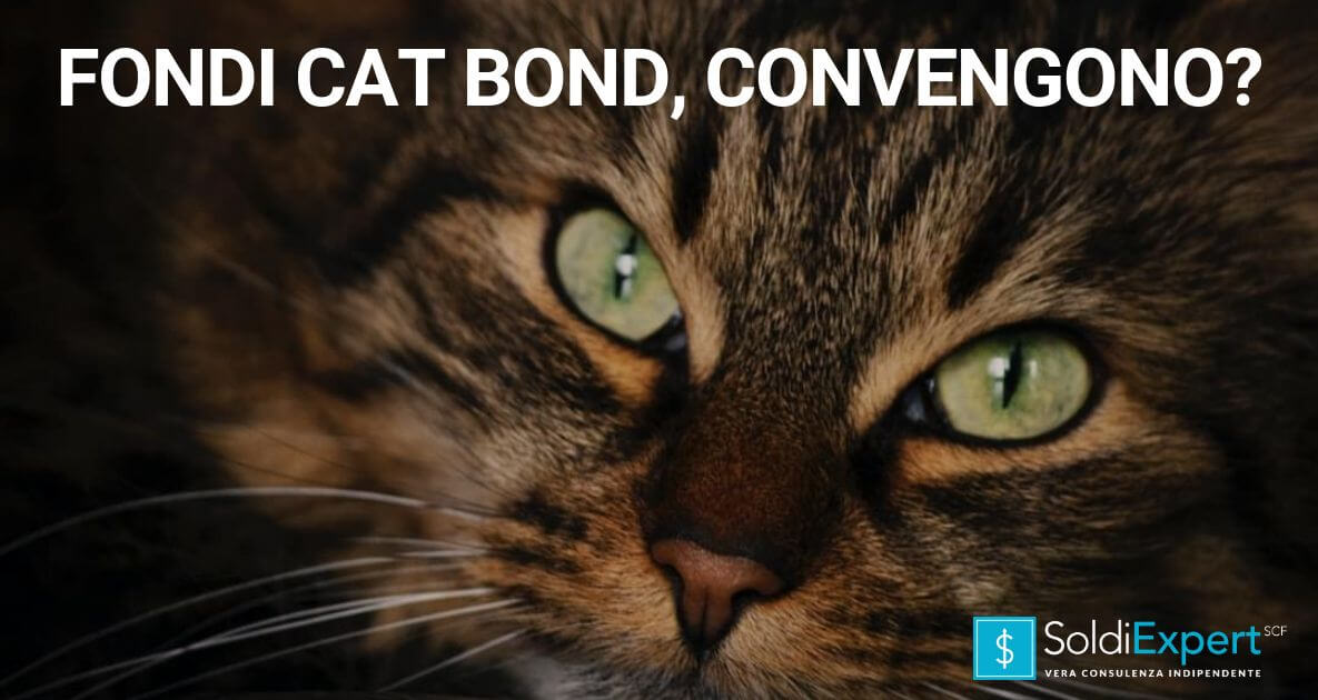 Cat Bond, cosa sono, che rendimenti offrono e che rischi si corrono